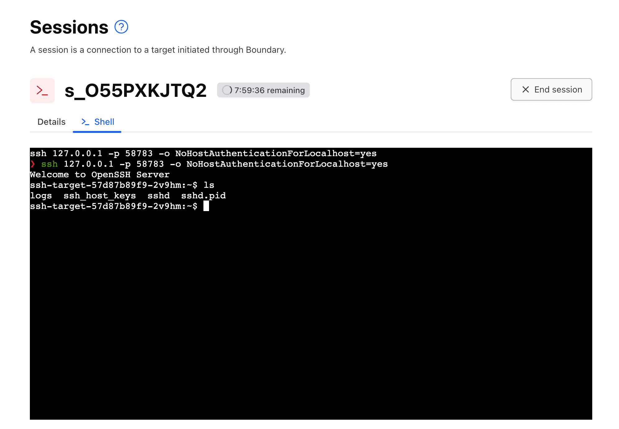 SSH connection to the target — Boundary injects credentials and opens the session directly